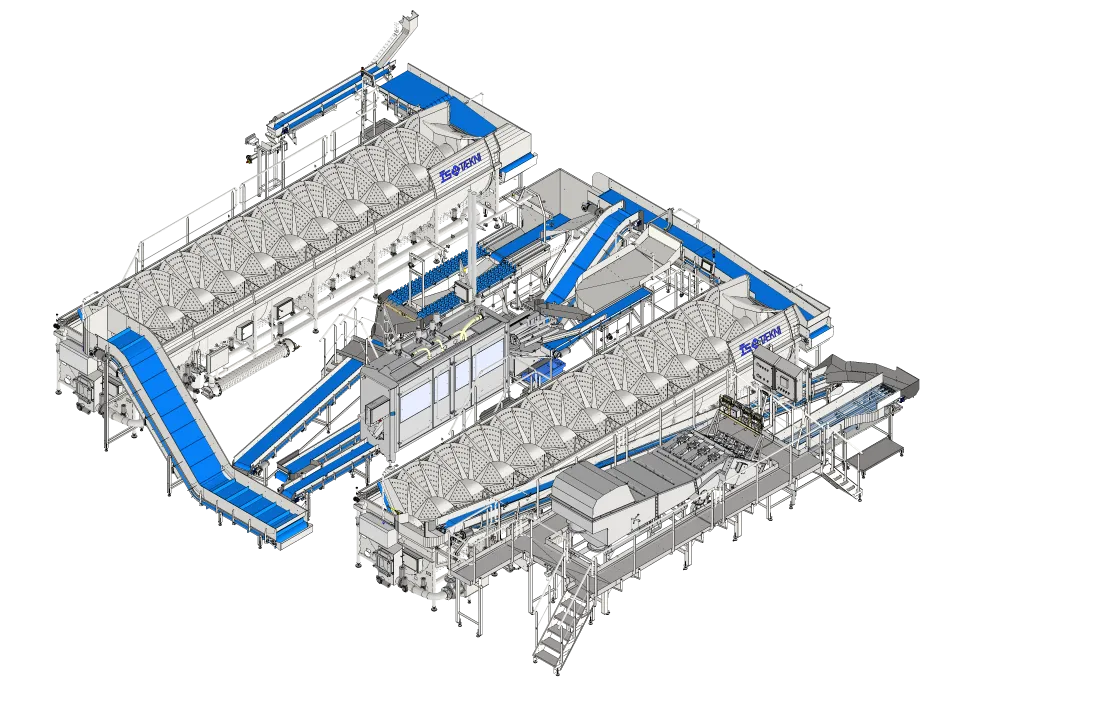 Aquaculture – Salmon Processing