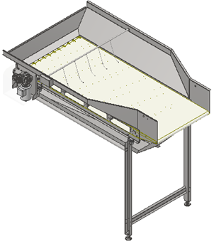 Infeed Conveyor from Lift